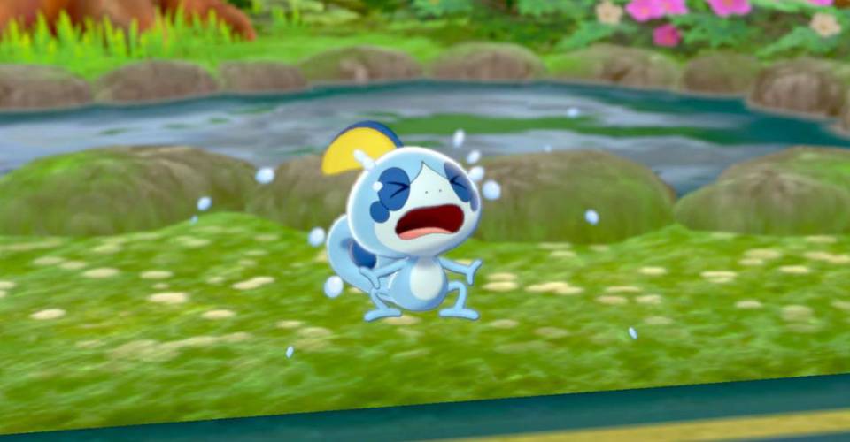 Pokemon Sword And Shield Starter Pokemon Can T Be Shiny Pokemon Sword And Shield Starter Pokemon Can T Be Shiny