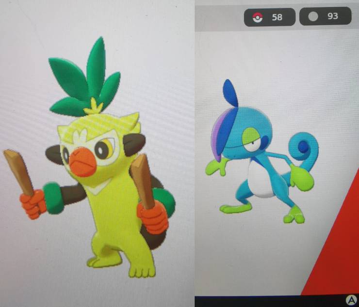 Pokemon Sword And Shield Leak Reveals Mid Stage Starter Evolutions Pokemon Sword And Shield Leak Reveals Mid Stage Starter Evolutions