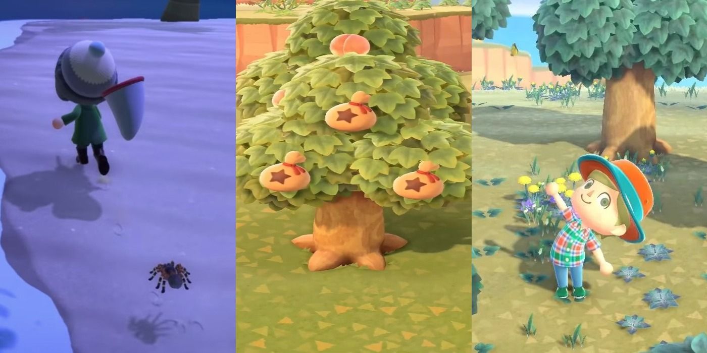 15 Ways To Earn Bells Fast In Animal Crossing: New Horizons