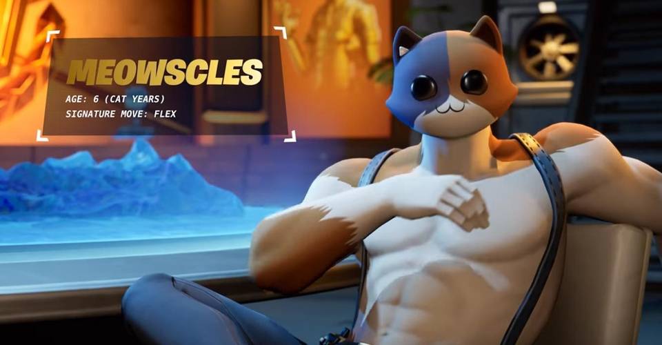 60 Top Images Fortnite Kit Go Cat Go Kit Go Cat Go Fortnite Music