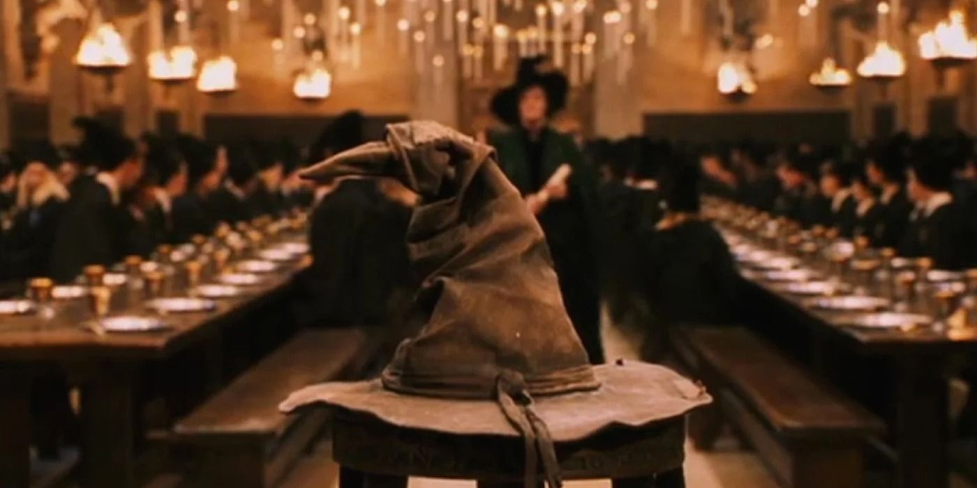 Harry Potter Star Gets Sorted Into Surprising Hogwarts House