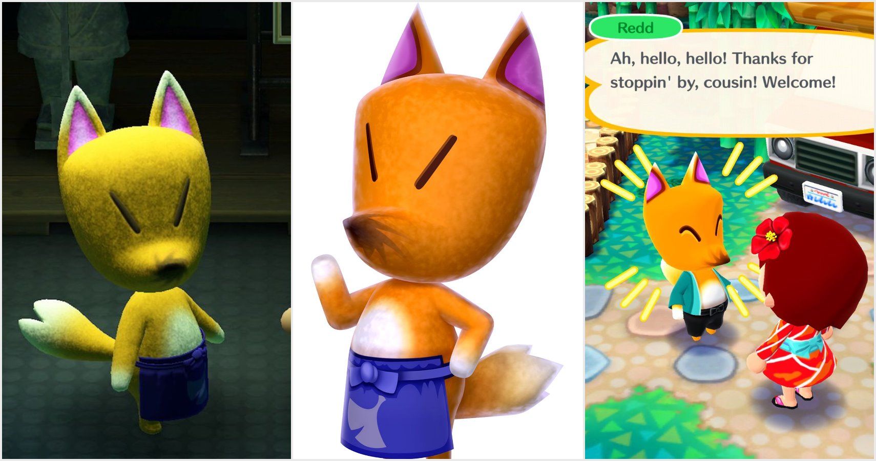 Animal Crossing: 10 Unanswered Questions We Still Have About Redd