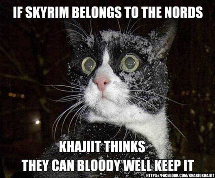Elder Scrolls 10 Khajiit Memes That Are Hilarious If You Have Coin
