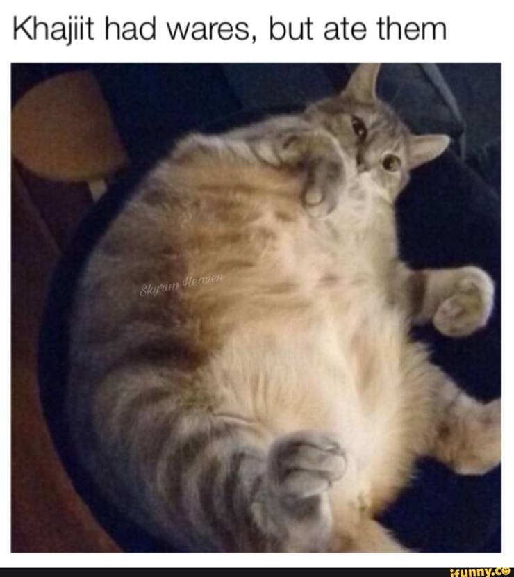 Elder Scrolls 10 Khajiit Memes That Are Hilarious If You Have Coin