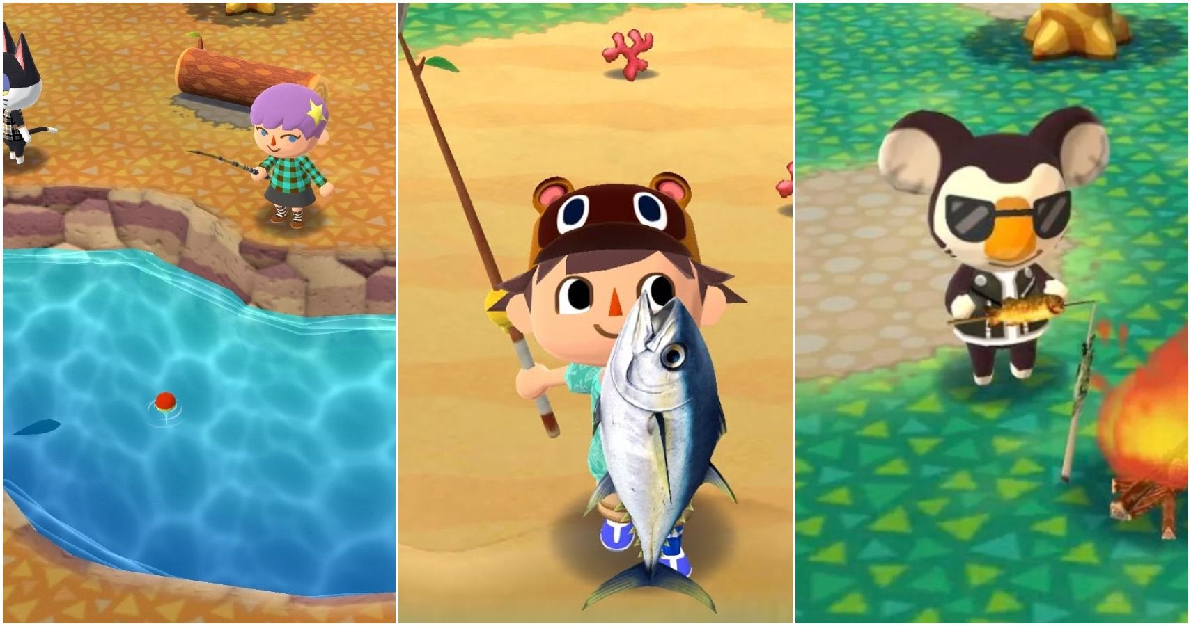 animal crossing pocket camp football fish animal crossing pocket camp football fish