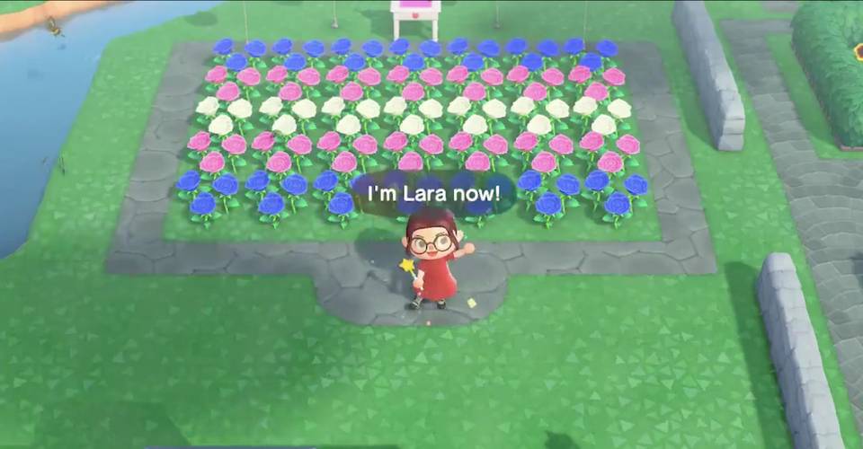 Player Creates Animal Crossing New Horizons Video To Come