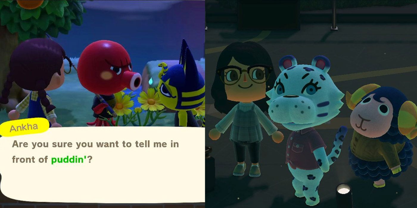 10 Secret Things Villagers Do In Animal Crossing: New Horizons