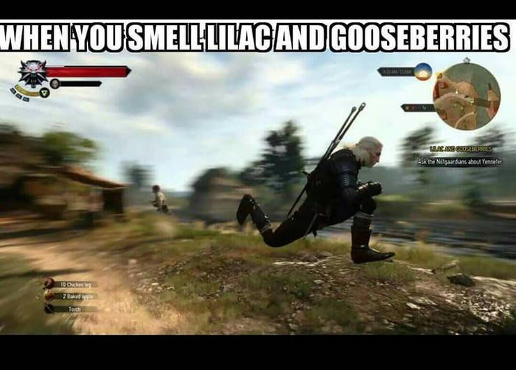 The Witcher 3 10 Yennefer Memes That Prove The Game Makes No Sense