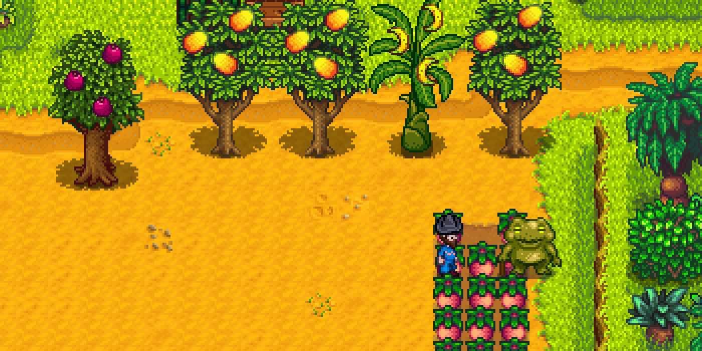 stardew valley ginger island