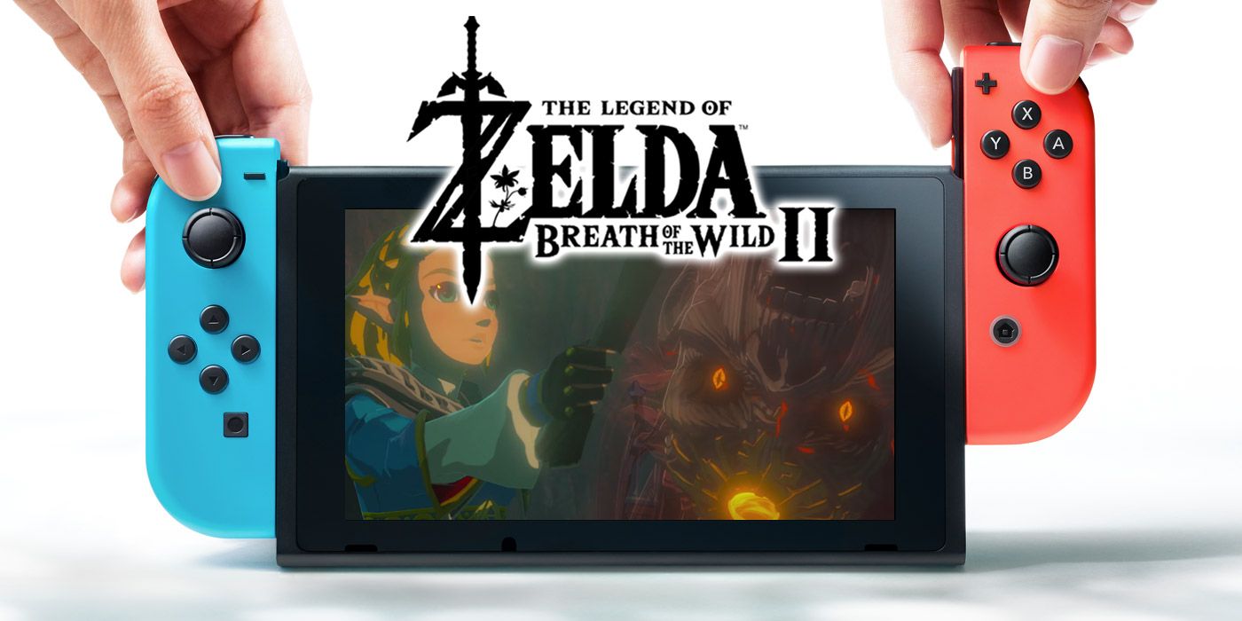 switch breath of the wild 2