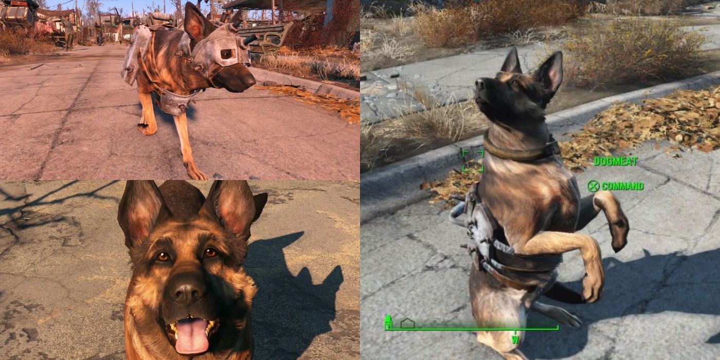 Fallout 4: Where To Find Dogmeat's Armor (& 7 Other Things You Should