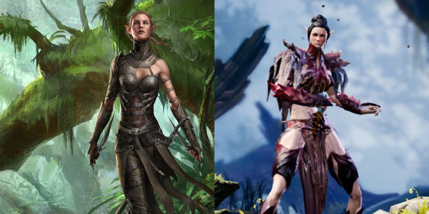 reddit divinity original sin 2 companions