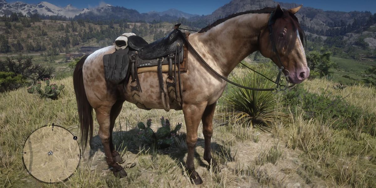 Red Dead Redemption 2 C Mo Conseguir Un Caballo Fox Trotter De Missouri   Amber Missouri Fox Trotter 1 