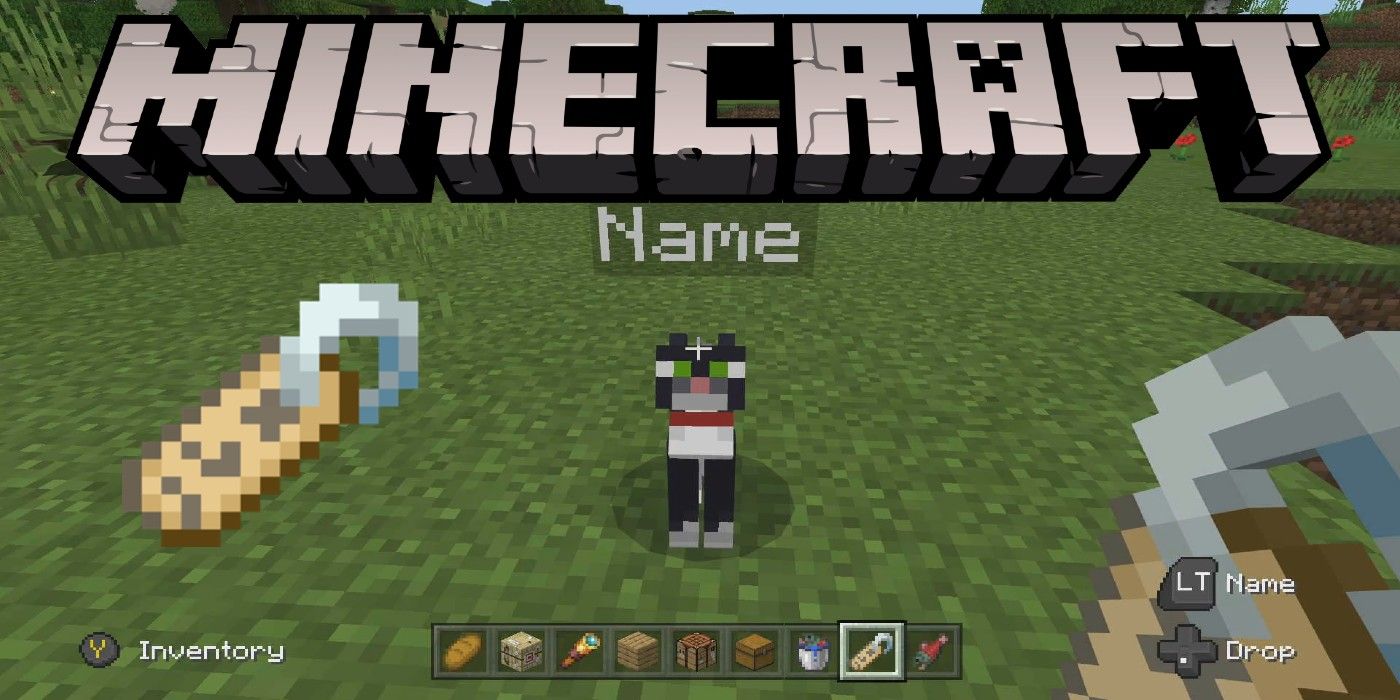 Minecraft How To Get A Name Game Rant