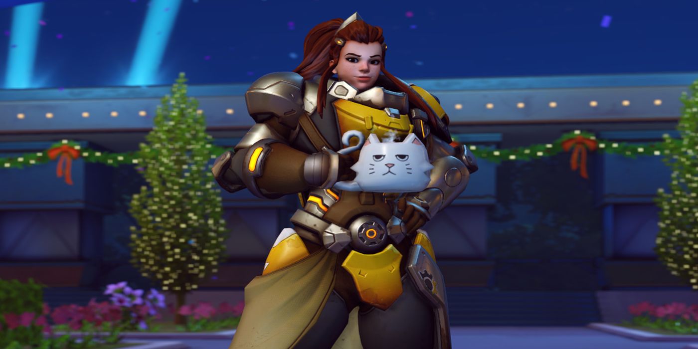 An Overwatch Fan Turns A Cat Into Different Heroes With Hilarious Edits