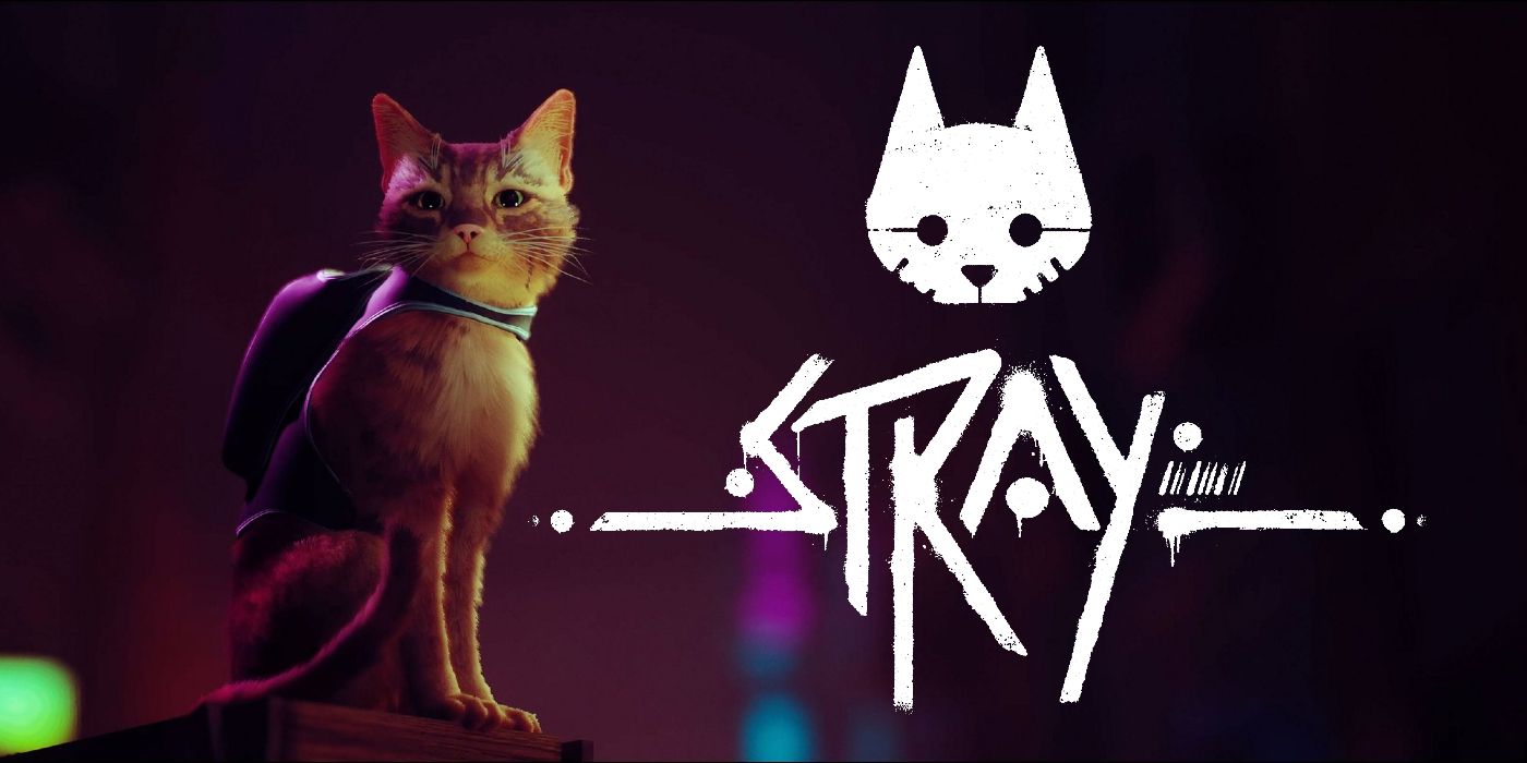 free download stray switch