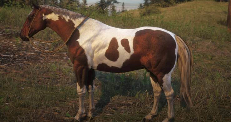 Every Horse In Red Dead Redemption 2 Ranked From Worst To Best